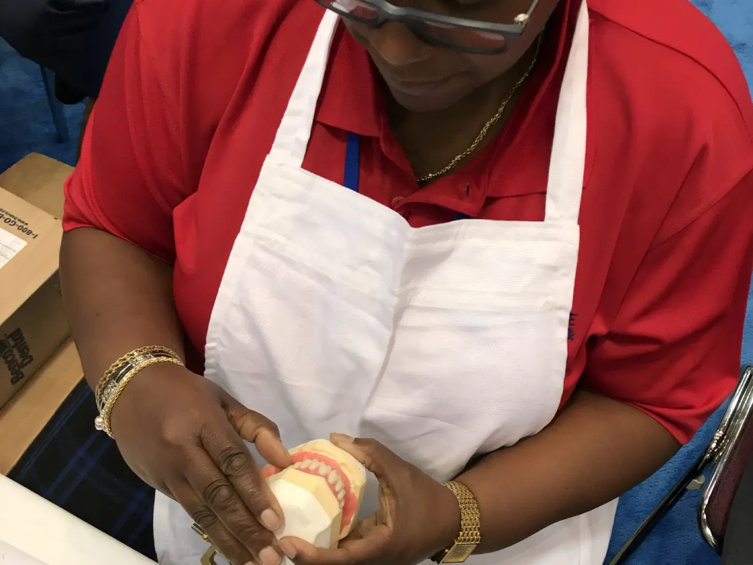 14 Person in red shirt and white apron holds dental model with visible teeth at a table.